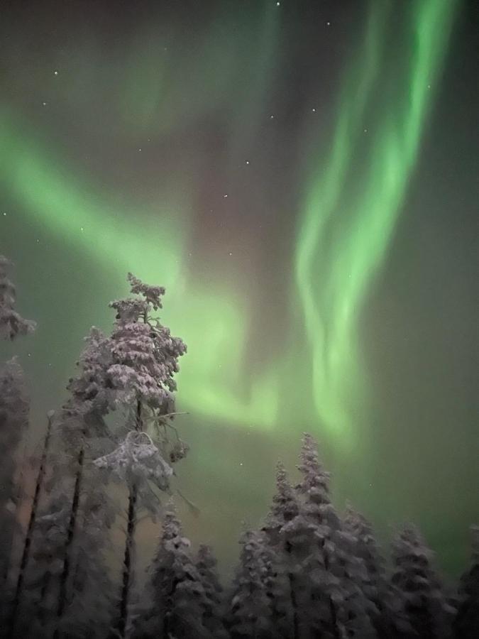 Вілла Levi Sensu - Levi Sky Igloos Сіркка Екстер'єр фото